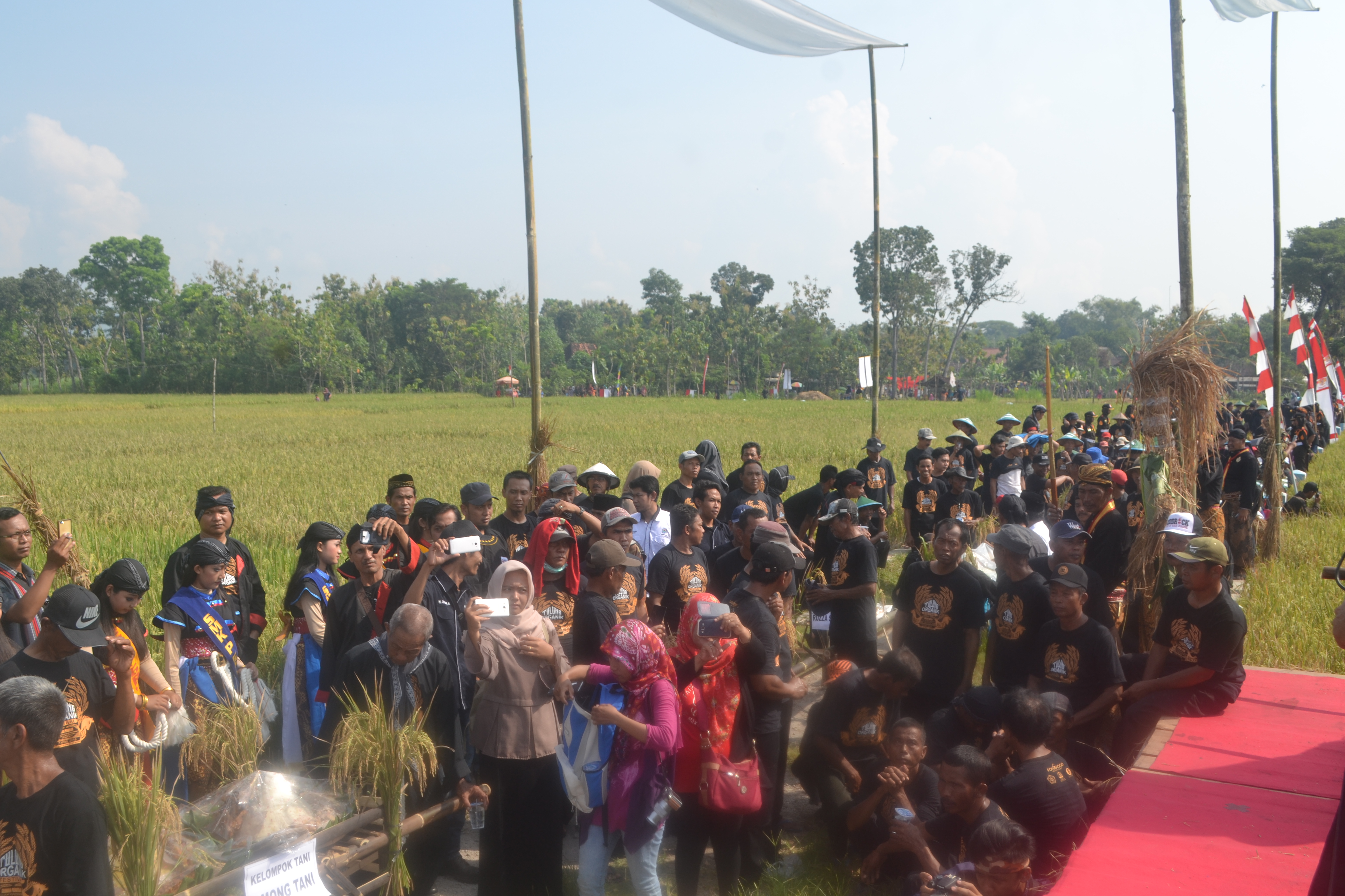 Tulung Organik Festival